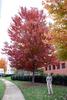 Fall_in_Raleigh10.jpg