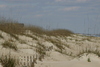 Baldhead_Island6.jpg