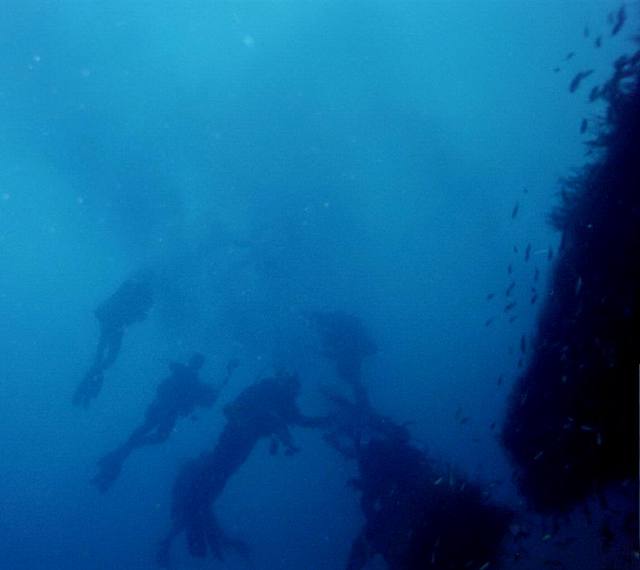 ../pictures/divers.jpg