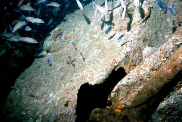 ../pictures/wreck2.jpg