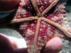star_fish7.jpg