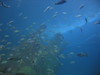 NC_aquarium25.jpg