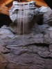 NC_aquarium4.jpg