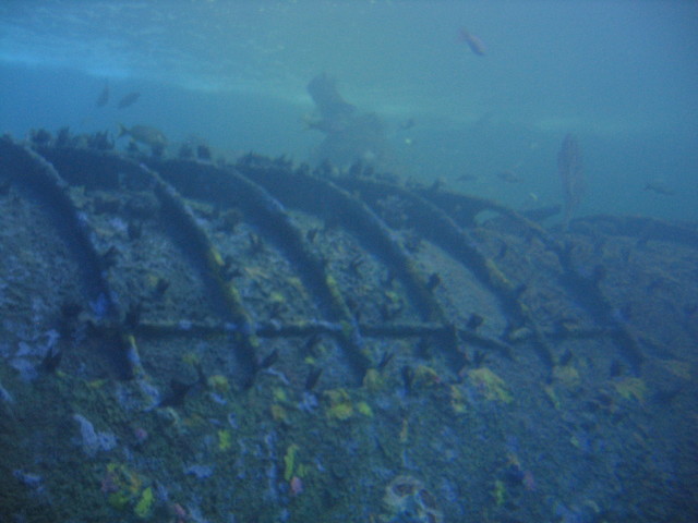 ../pictures/NC_aquarium20.jpg