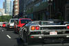 Lamborgini1.jpg