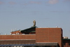 duck_tour28.jpg
