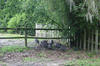 Middleton_Place29.jpg