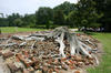 Middleton_Place9.jpg