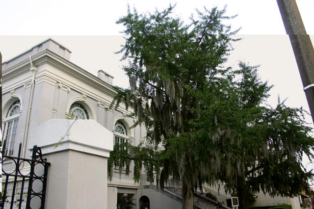 ../pictures/Charleston13.jpg