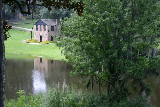 ../pictures/Middleton_Place46.jpg