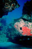 high_profile_reef.jpg