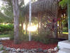 a_corner_of_paradise.jpg