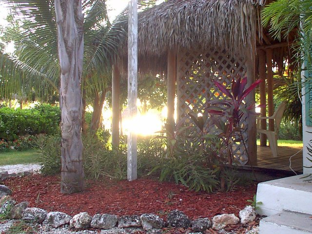 ../pictures/a_corner_of_paradise.jpg