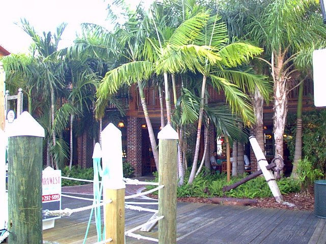 ../pictures/key_west5.jpg