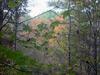 Fall_in_Raleigh19.jpg
