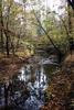 Fall_in_Raleigh31.jpg