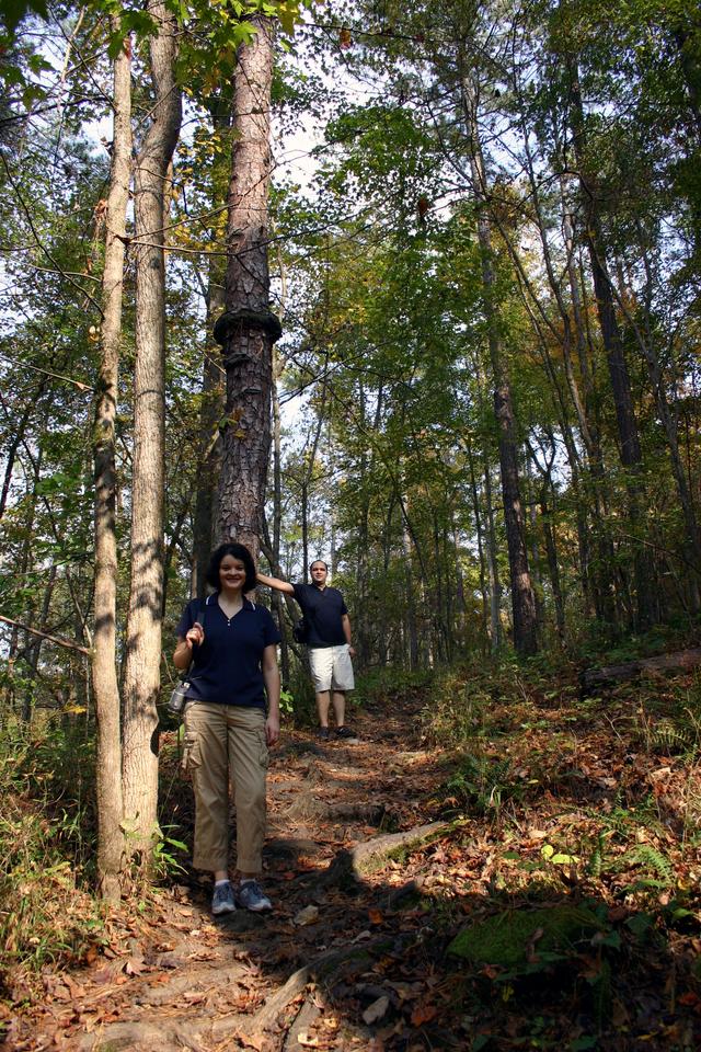 ../pictures/Fall_in_Raleigh40.jpg