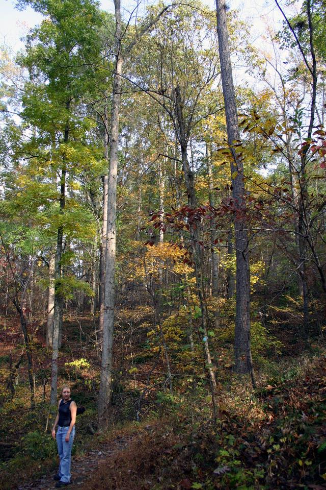 ../pictures/Fall_in_Raleigh43.jpg