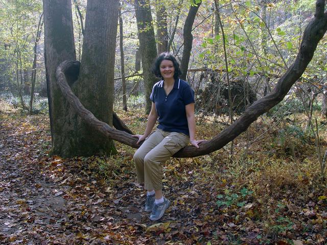 ../pictures/Fall_in_Raleigh5.jpg