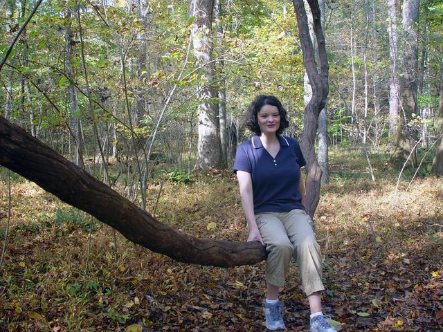 ../pictures/Fall_in_Raleigh6.jpg
