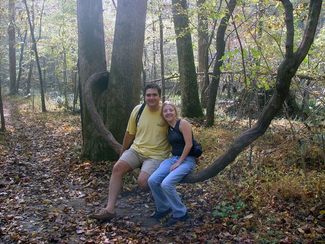 ../pictures/Fall_in_Raleigh7.jpg