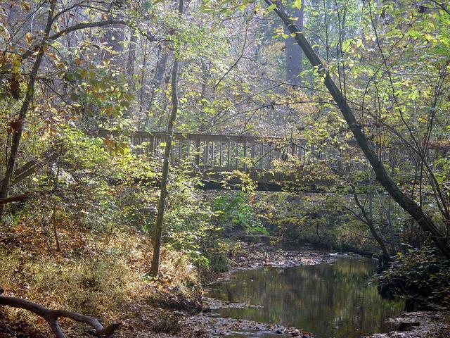 ../pictures/Fall_in_Raleigh8.jpg