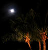 land_night_shots3.jpg