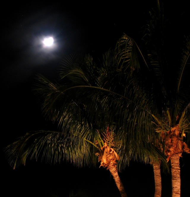 ../pictures/land_night_shots3.jpg