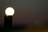 I_thought_this_was_the_moon.jpg