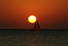 Sunsets11.jpg