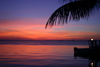 Sunsets40.jpg