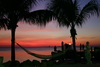 Sunsets41.jpg