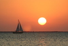 Sunsets6.jpg