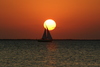 Sunsets8.jpg