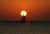 Sunsets9.jpg