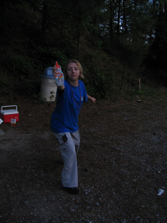 ../pictures/lake_rawlings8.jpg