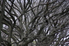 Central_Park23.jpg