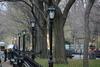 Central_Park26.jpg