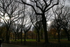 Central_Park27.jpg