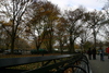 Central_Park3.jpg