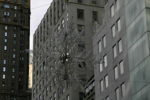 ../pictures/NYC24.jpg