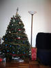 Christmas_tree.jpg