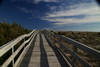 Ocracoke_beach6.jpg