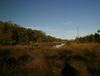 Ocracoke_nature_trail1.jpg
