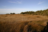 Ocracoke_nature_trail4.jpg