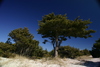 Silver_lake_beach2.jpg
