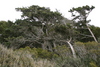 Springers_point_nature_trail10.jpg