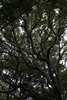 Springers_point_nature_trail14.jpg
