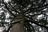 Springers_point_nature_trail15.jpg