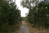 Springers_point_nature_trail2.jpg